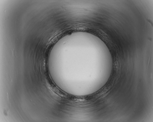X0000102780552200808180934