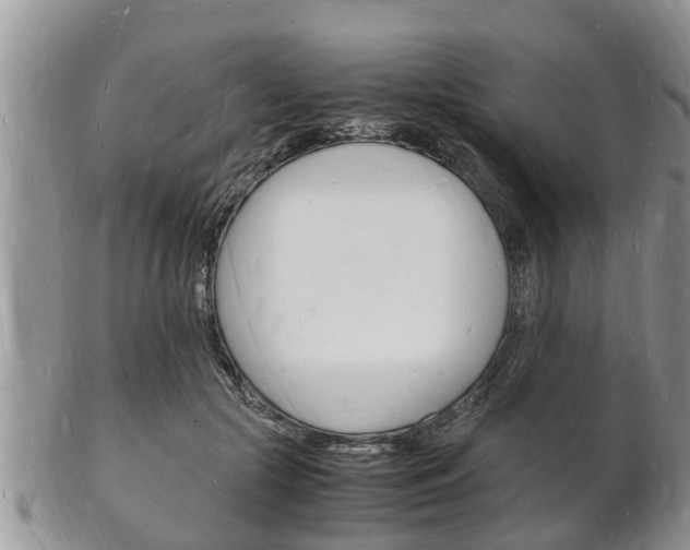 X0000102780553200808180934