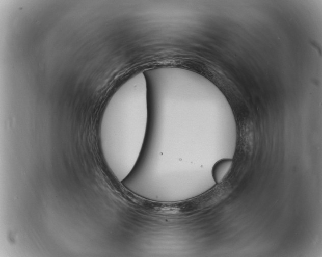 X0000102780554200808180934