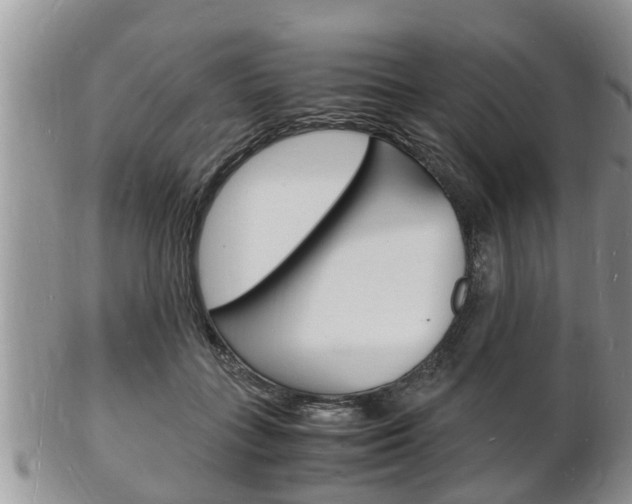 X0000102780555200808180934