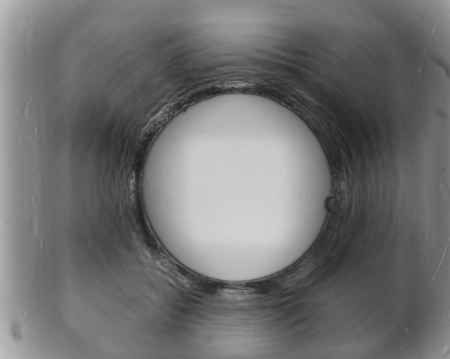 X0000102780556200808180934