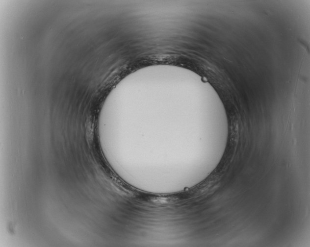 X0000102780558200808180934