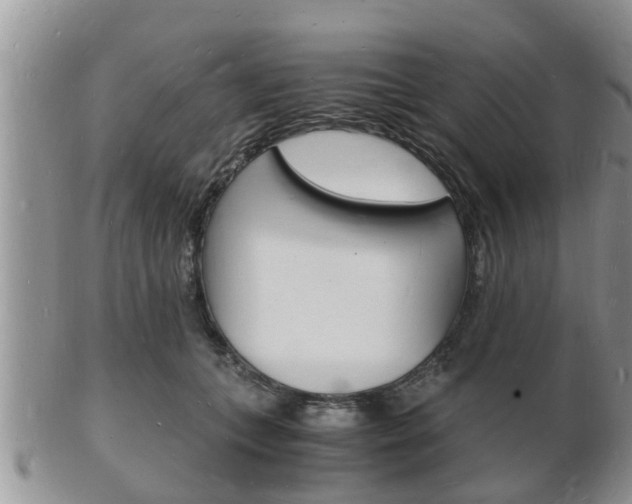 X0000102780559200808180934