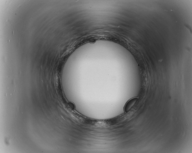 X0000102780562200808180934