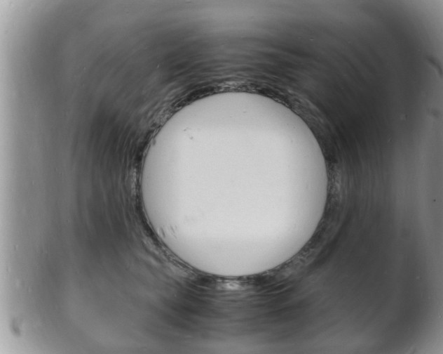 X0000102780565200808180934