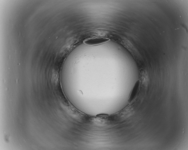 X0000102780568200808180934