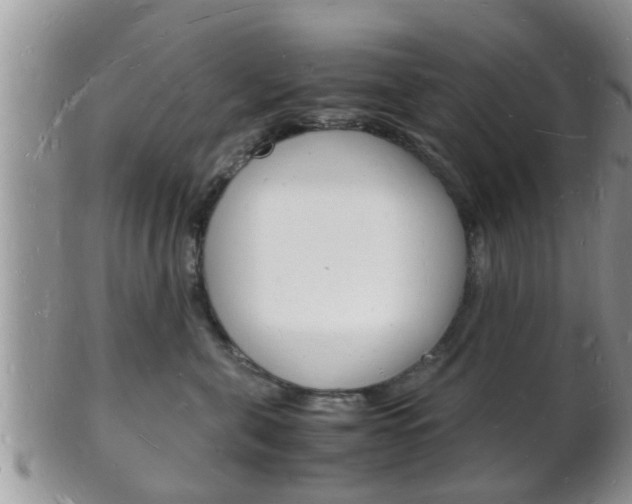 X0000102780571200808180934