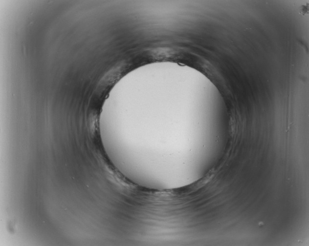 X0000102780574200808180934