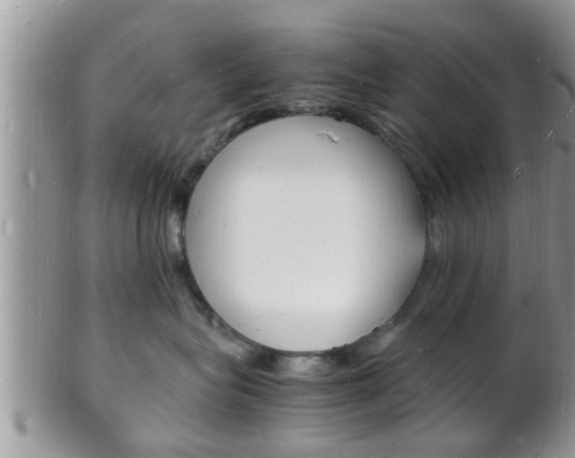 X0000102780575200808180934