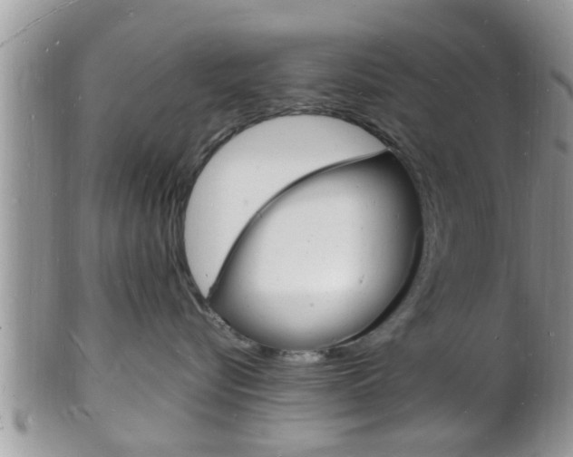X0000102780576200808180934