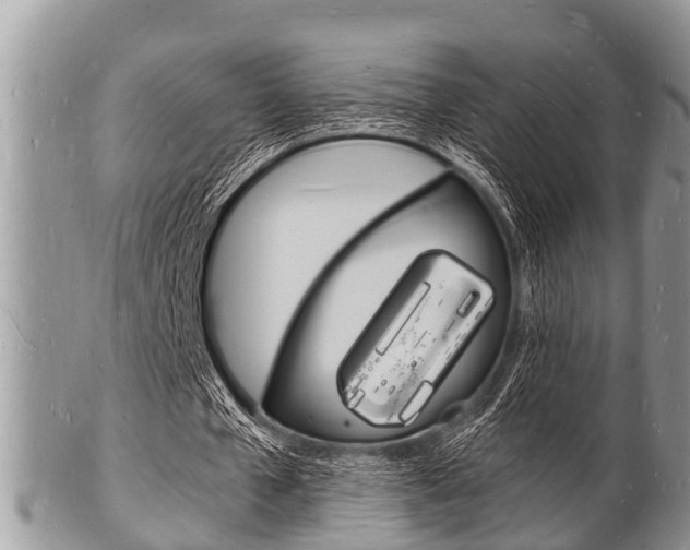 X0000102780577200808180933
