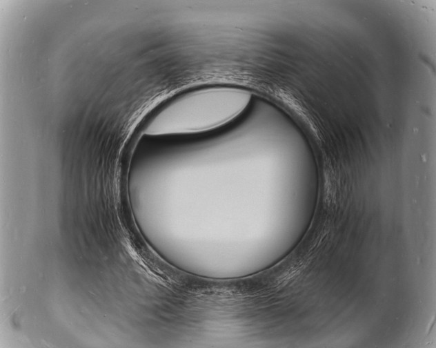 X0000102780580200808180933