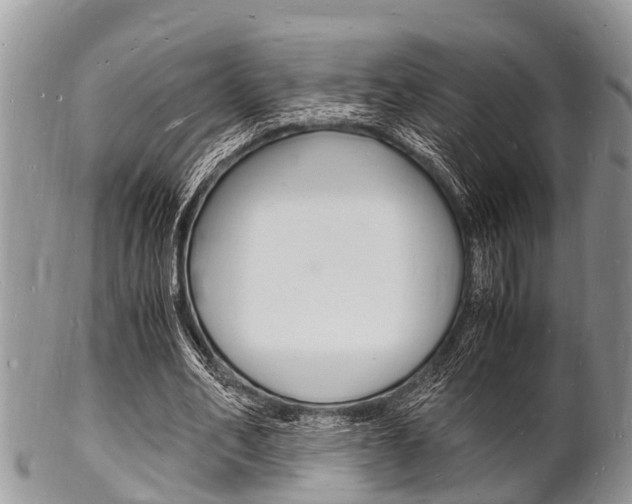 X0000102780582200808180933