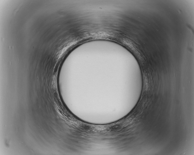 X0000102780583200808180933