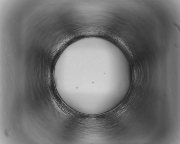 X0000102780588200808180933