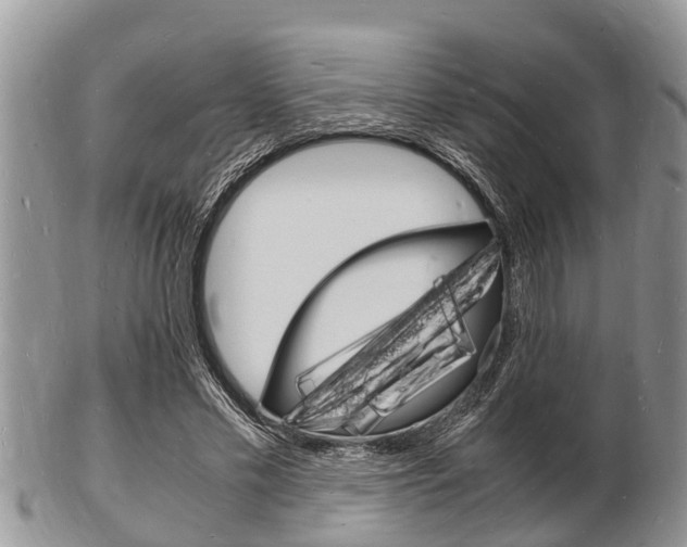 X0000102780589200808180933