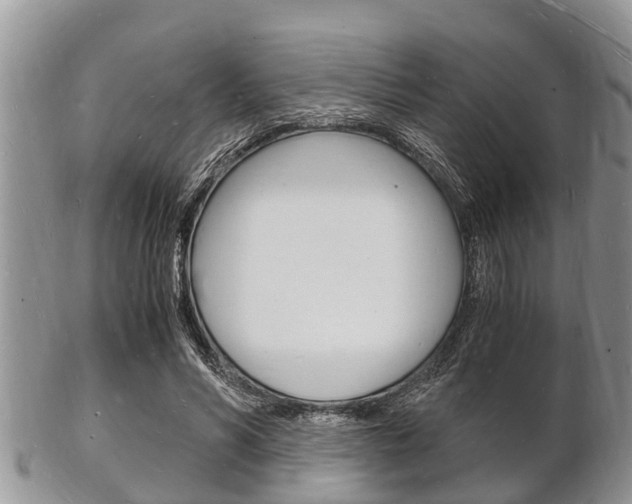 X0000102780590200808180933