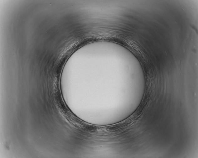 X0000102780591200808180933