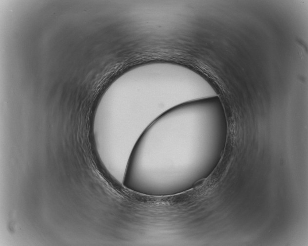 X0000102780593200808180933
