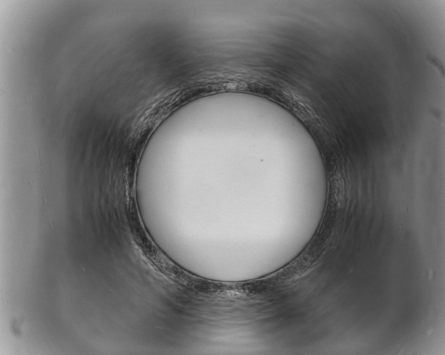 X0000102780594200808180933