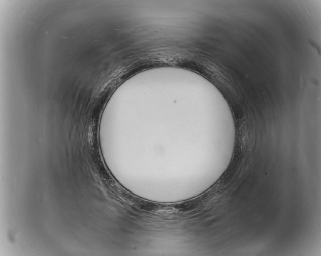 X0000102780595200808180933