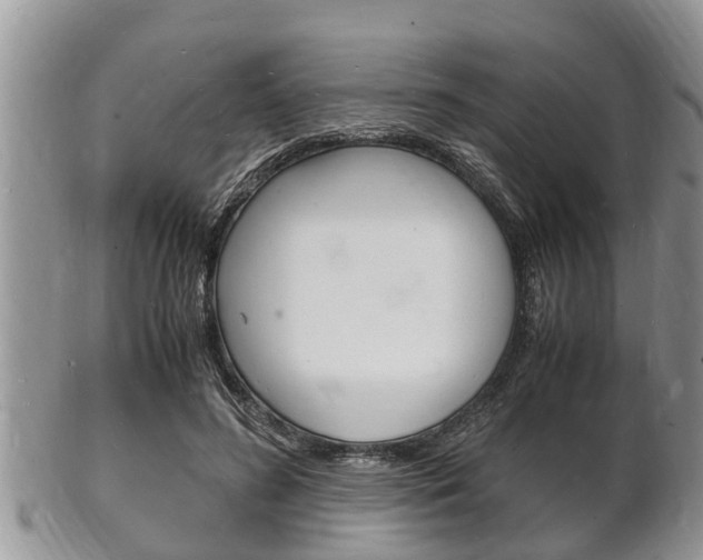 X0000102780596200808180933