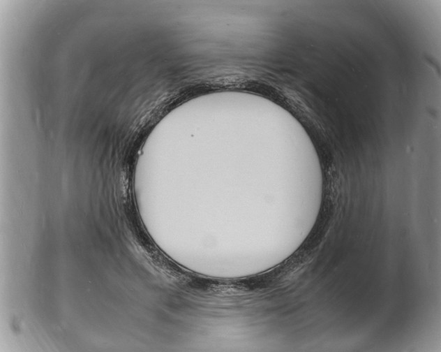 X0000102780597200808180933