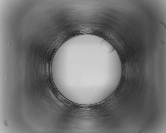 X0000102780598200808180933