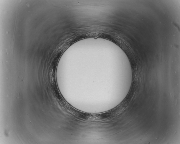 X0000102780599200808180933