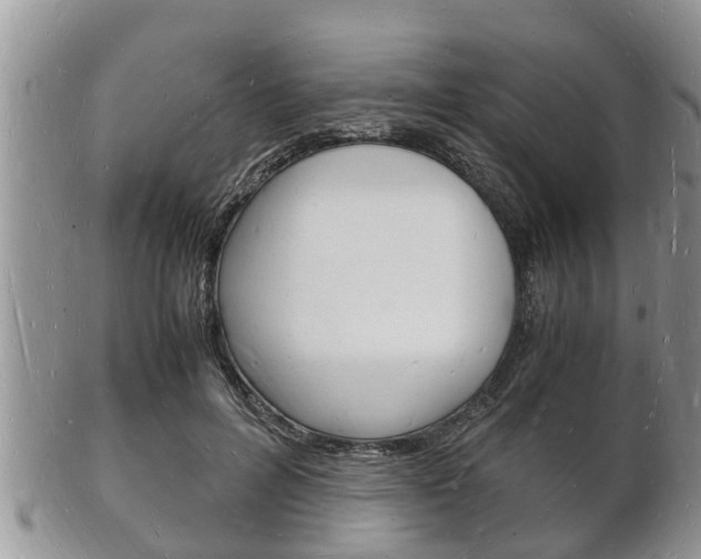 X0000102780600200808180933