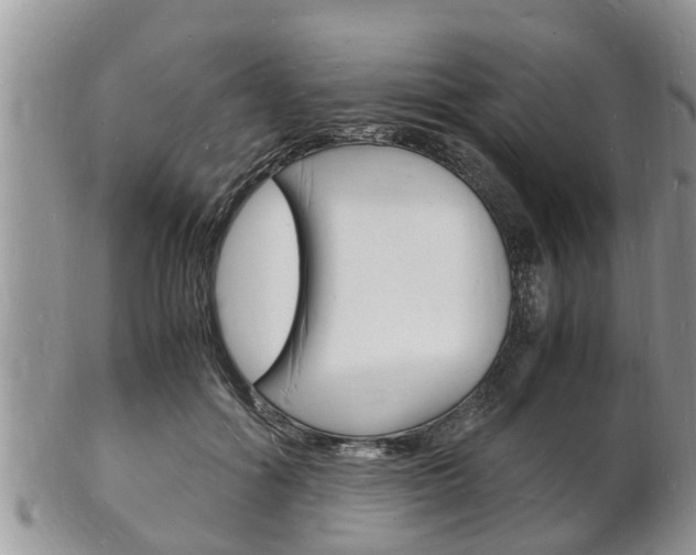 X0000102780602200808180933