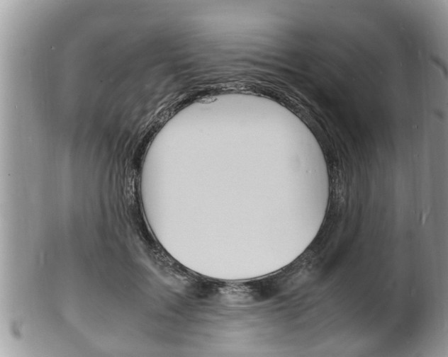 X0000102780603200808180933