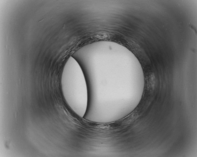 X0000102780606200808180933