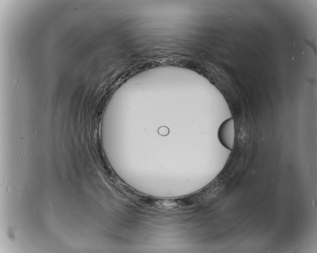 X0000102780607200808180933