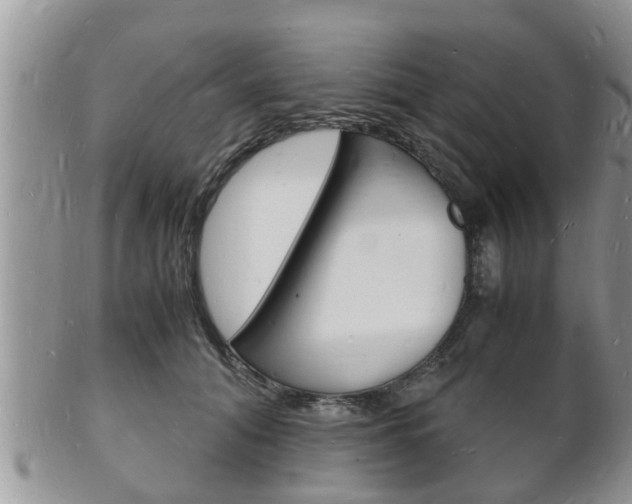 X0000102780608200808180933