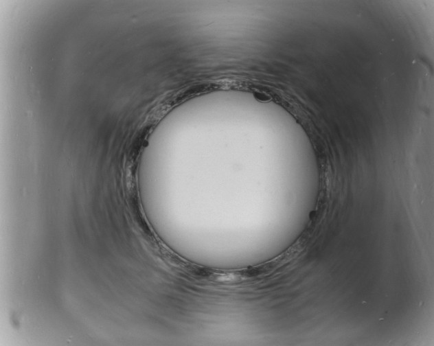 X0000102780611200808180933