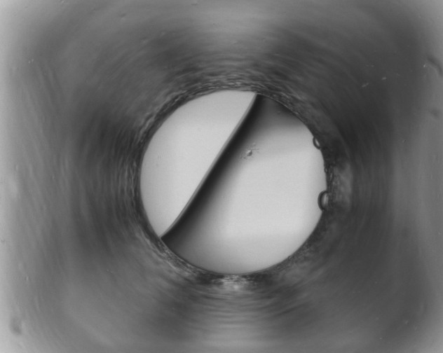 X0000102780612200808180933