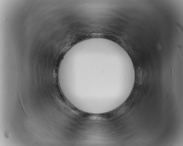 X0000102780614200808180933