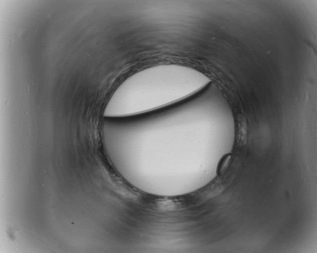 X0000102780616200808180933