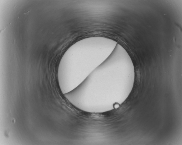 X0000102780617200808180933
