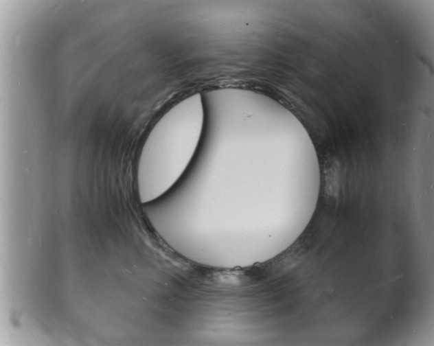 X0000102780618200808180933