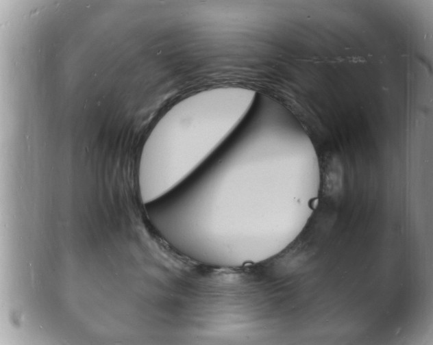 X0000102780620200808180933