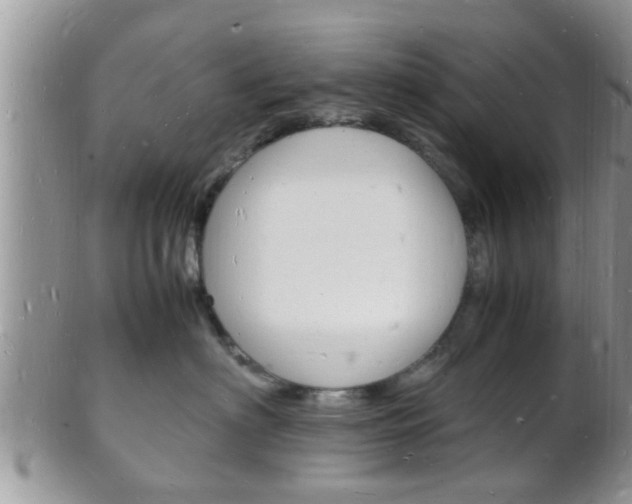X0000102780622200808180933