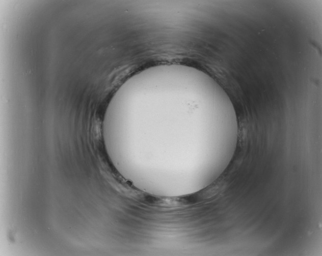 X0000102780623200808180933