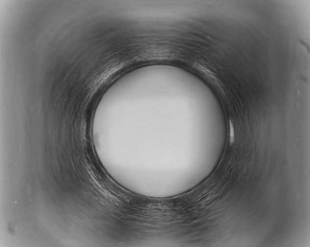 X0000102780627200808180932
