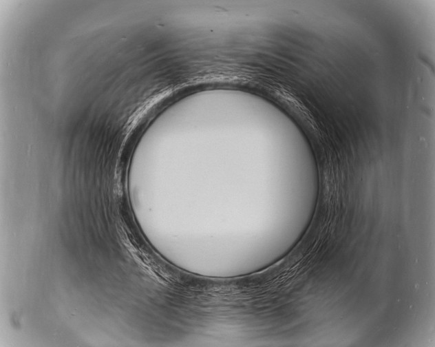 X0000102780628200808180932