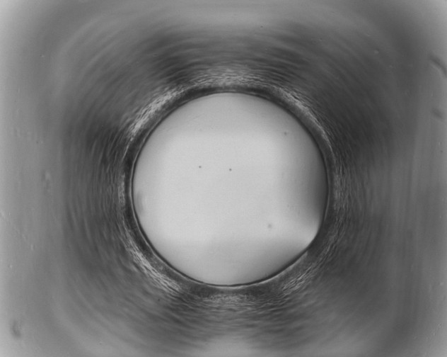 X0000102780629200808180932