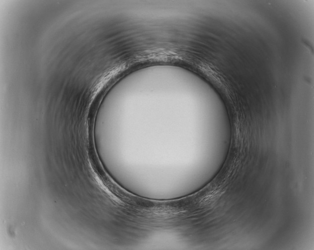 X0000102780630200808180932
