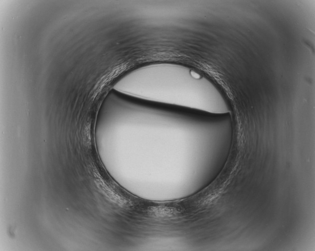 X0000102780633200808180932