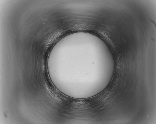 X0000102780635200808180932